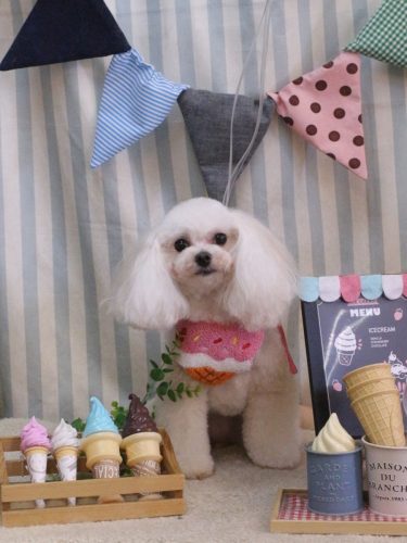 20250528シェリーちゃん